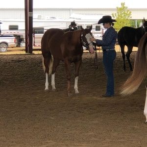 Meet your Posher, Lindsey